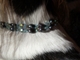 Schmuckkette Hund Hundeschmuck Swarovski