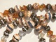 Schmuckkette Hund Hundeschmuck Swarovski