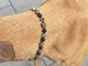 Schmuckkette Hund Hundeschmuck Swarovski