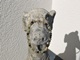 Schmuckkette Hund Hundeschmuck Swarovski