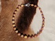 Schmuckkette Hund Hundeschmuck Swarovski