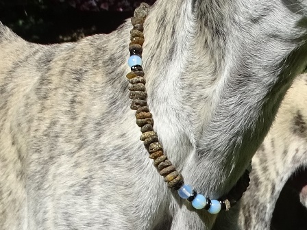 Bernsteinkette Hund Zeckenschutz