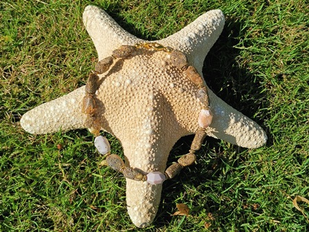 Bernsteinkette Hund Zeckenschutz Windhund