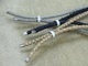 Lederschmuck Windhund Saluki Galgo Whippet